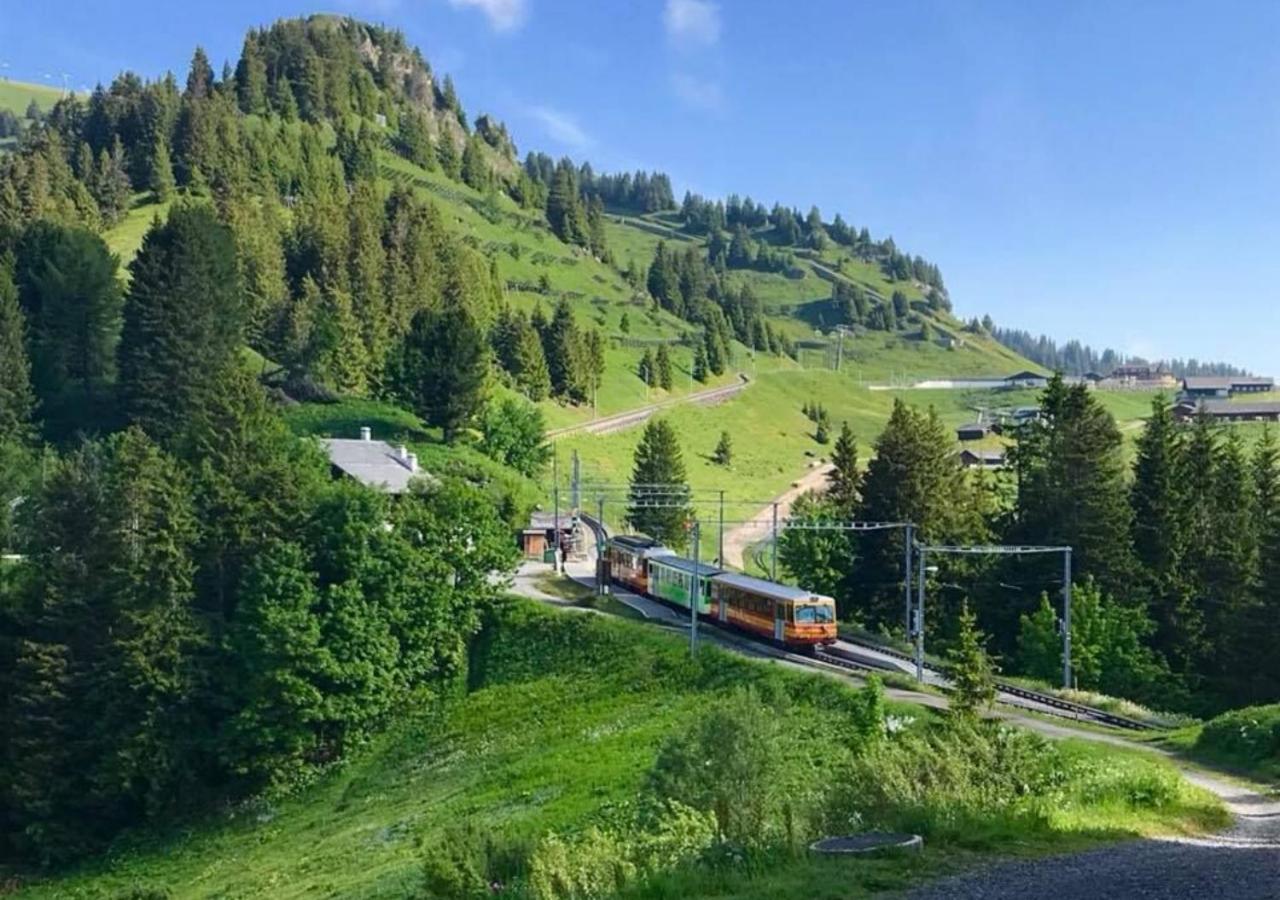 Maison De Montagne De Bretaye Acces Par Le Train Arret Bouquetin วิลลาร์-ซูร์-โอลง ภายนอก รูปภาพ